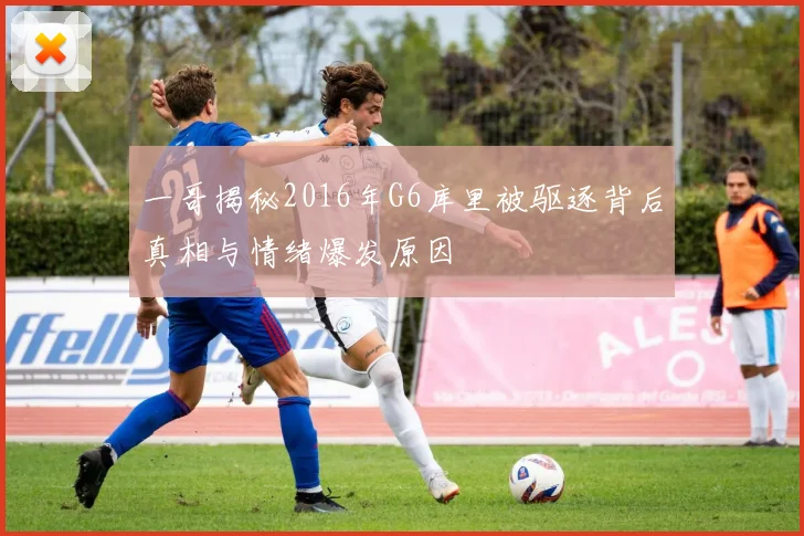 一哥揭秘2016年G6库里被驱逐背后真相与情绪爆发原因